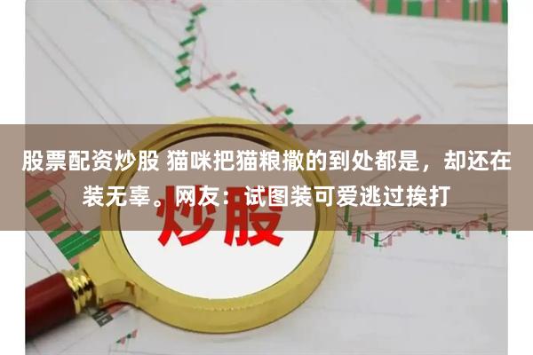 股票配资炒股 猫咪把猫粮撒的到处都是，却还在装无辜。网友：试图装可爱逃过挨打