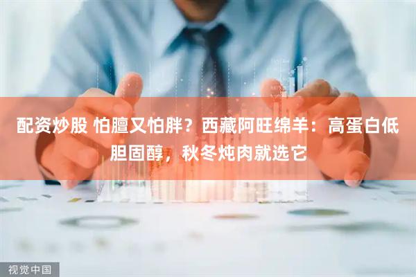 配资炒股 怕膻又怕胖？西藏阿旺绵羊：高蛋白低胆固醇，秋冬炖肉就选它