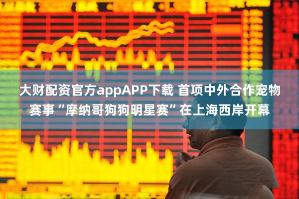 大财配资官方appAPP下载 首项中外合作宠物赛事“摩纳哥狗狗明星赛”在上海西岸开幕