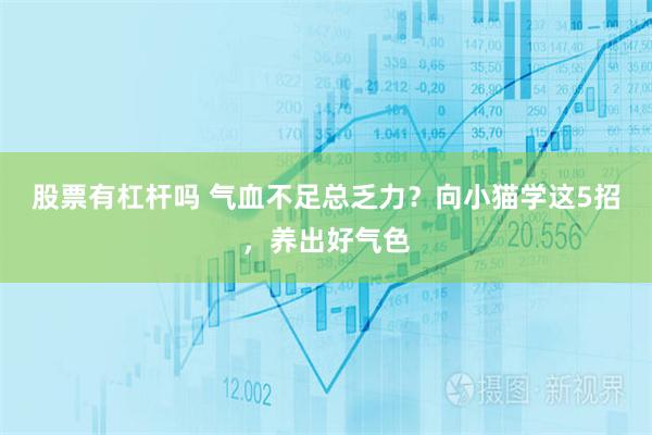 股票有杠杆吗 气血不足总乏力？向小猫学这5招，养出好气色