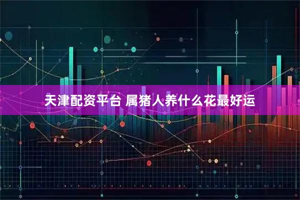 天津配资平台 属猪人养什么花最好运