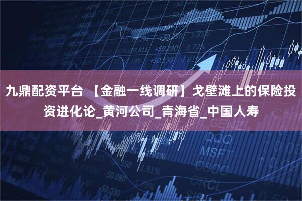 九鼎配资平台 【金融一线调研】戈壁滩上的保险投资进化论_黄河公司_青海省_中国人寿